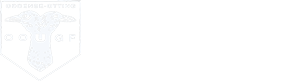 Oddense Otting ungdoms og gymnastikforening
