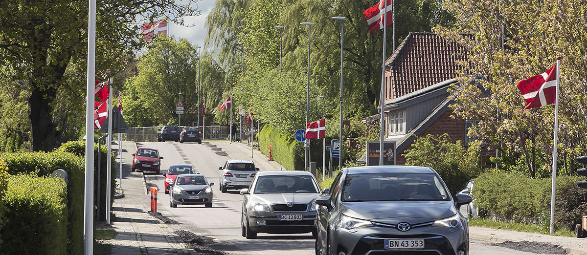 Oddense Flagalle' SD1 Bb