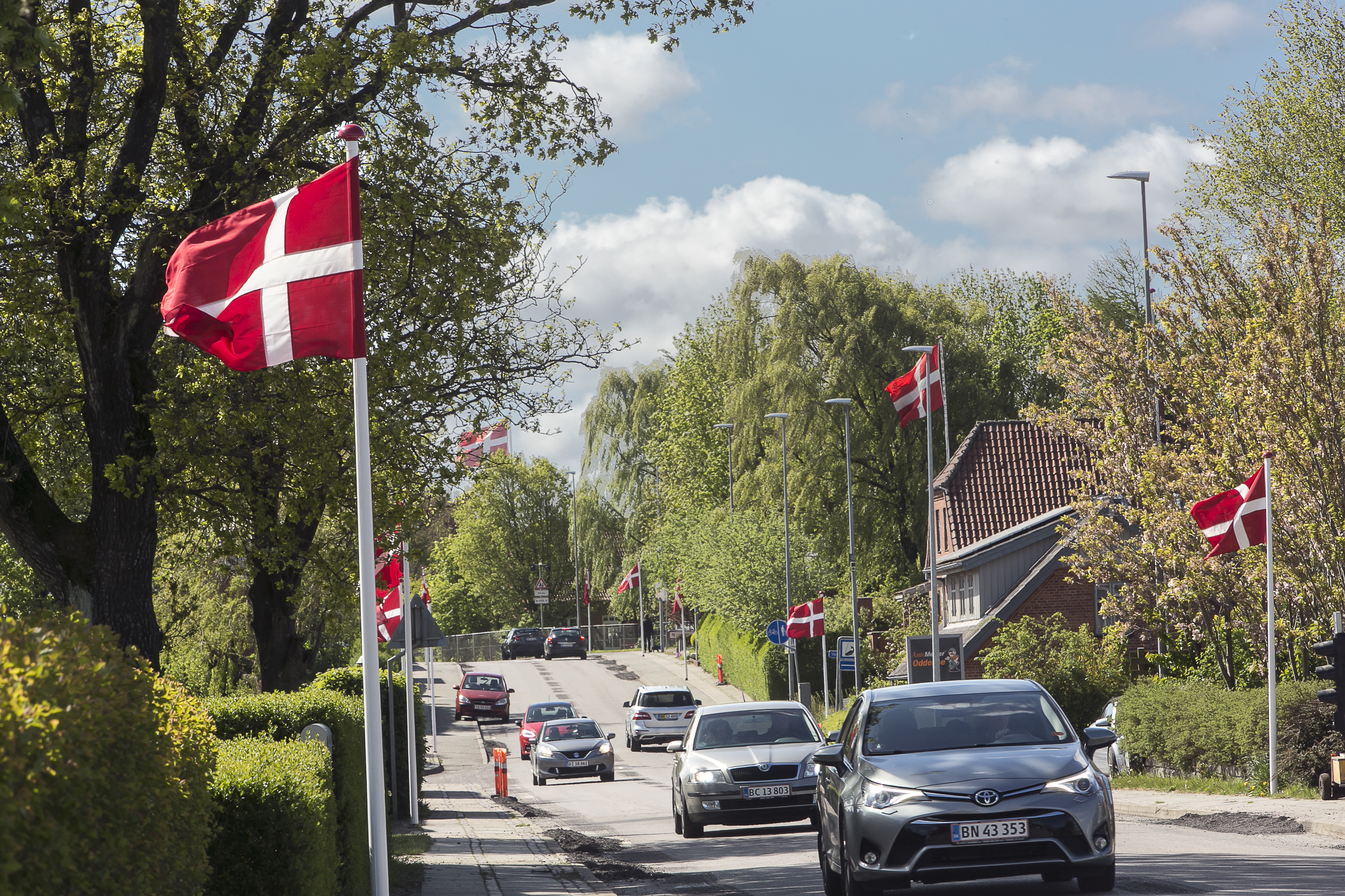 Oddense Flagalle' SD1